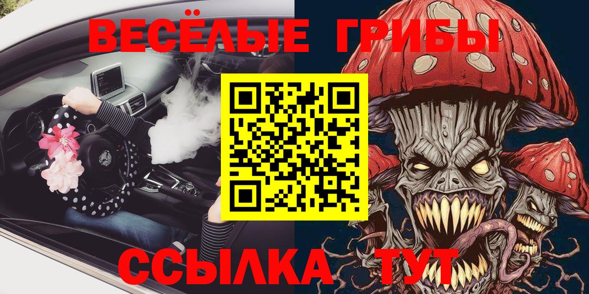 Галлюциногенные грибы мицелий Владимир