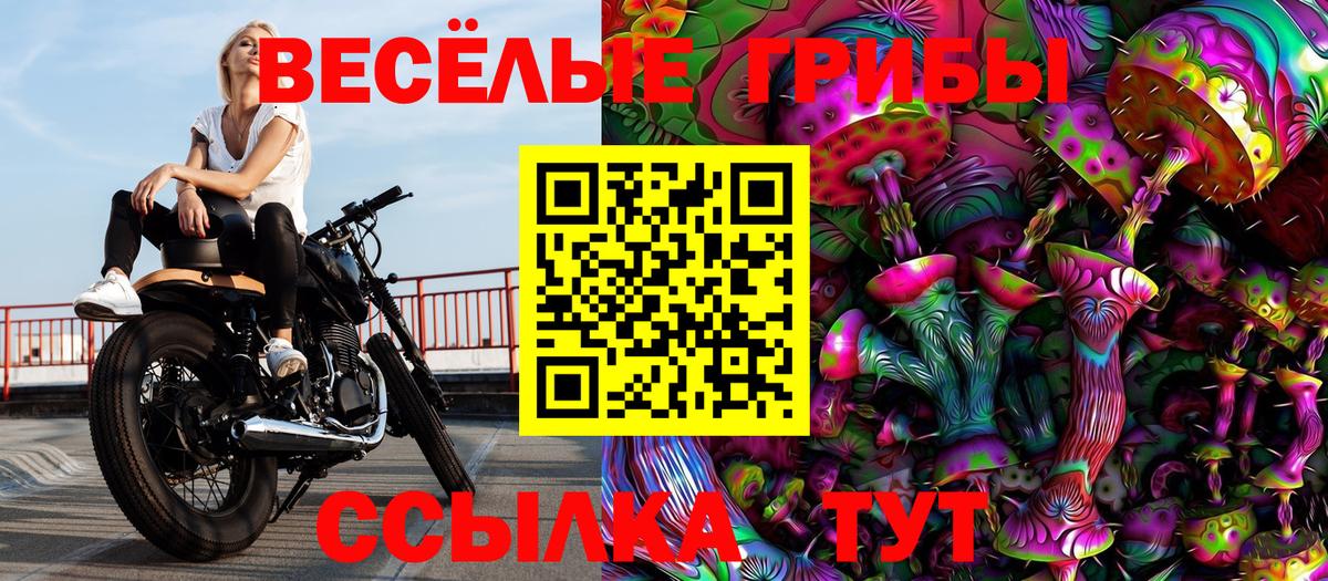 Галлюциногенные грибы ЛСД  Вход с VPN  Владимир 